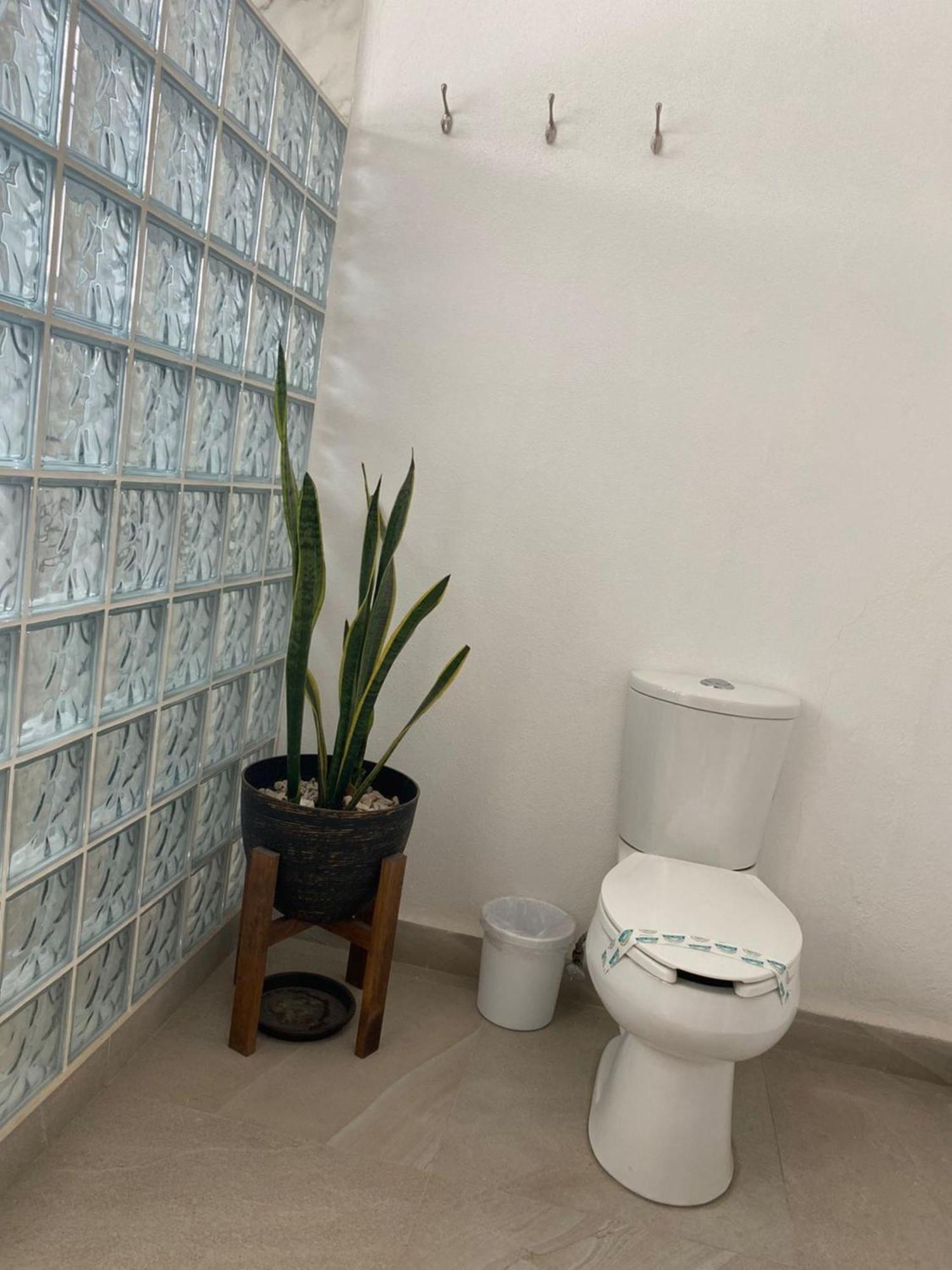 Hotel La Lejona San Miguel de Allende Eksteriør bilde